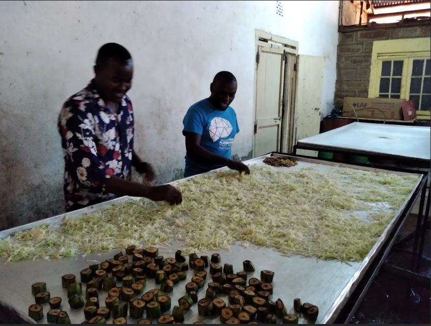 Kenya Food Innovation, Standards & Enterprise Development Hub